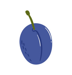 Fruit Plum In Cartoon Hand Drawn Simple Style