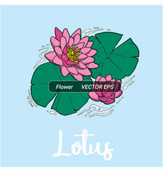 Lotus Flower