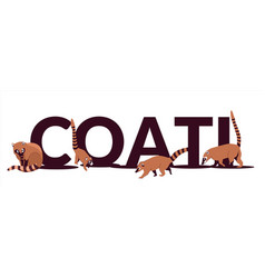 Text Coati Is A Genus Of Small Mammals