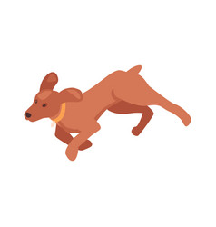 Isometric Running Dog