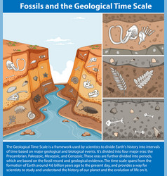 Fossils And The Geological Time Scale