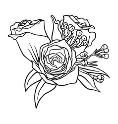 Group flower line drawing Royalty Free Vector Image