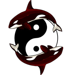 Of Yin Yang Symbol On White