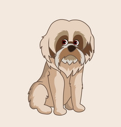 Shih Tzu Cartoon