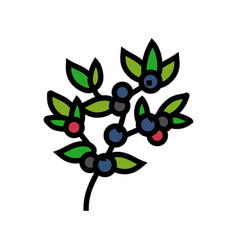 Huckleberry Bilbery Plant Color Icon