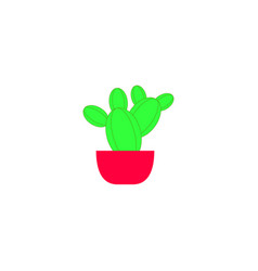 Green Cactus In Red Pot