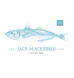 Realistic Jack Mackerels Fish Seafood Menu