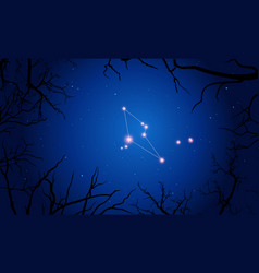 Reticulum Constellation Tree Branches Starry Sky