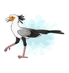 Cartoon Secretary Bird On White Background