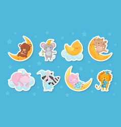 Cute Animals Sleeping On Soft Cloud