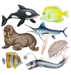 Sea Animals Collection