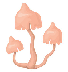 Armillaria Fungus Icon Cartoon Forest Poison