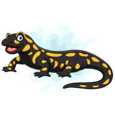 Cartoon Salamander Lizard On White Background