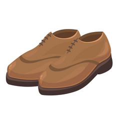 Pair Of Stylish Brown Leather Shoes