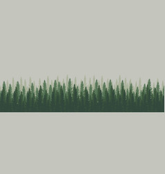 Panorama Of Dense Forest Fir And Pine Natural