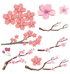 Set Of Japanese Sakura Cherry Blossom