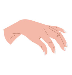 Elegant Female Hand With Manicure Isolated