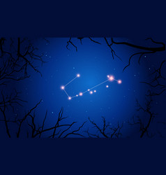 Telescopium Constellation Tree Branches Sky