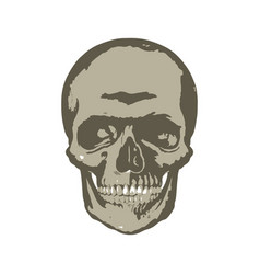 Skull Head Sketch Design