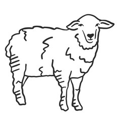 Sheep Lamb Hoof Wool Ear Doodle Animal