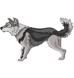 Sitting wolf Royalty Free Vector Image - VectorStock