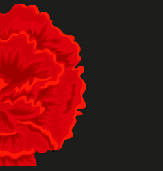 Banner Red Carnation