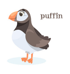 Puffin Bird With Large Beak As Animal Of North