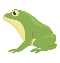 Aquatic Frog Icon Cartoon Animal Jump