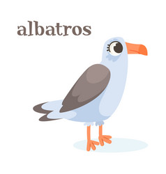 Albatross Bird With Large Beak As Animal Of North