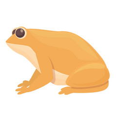 Orange Frog Icon Cartoon Smile Animal