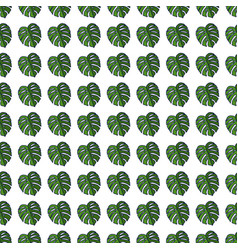 Outline Monstera Silhouettes Seamless Pattern