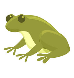 Smile Frog Icon Cartoon Jump Animal