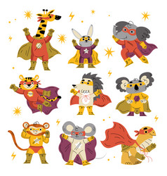 Animal Characters Superhero Dressed In Mask