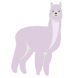 Cartoon Beautiful Llama Pink Lama Cheerful