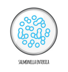 Human Microbiome Of Salmonella Enterica