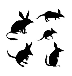 Bandicoot Silhouettes