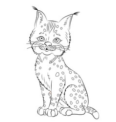 Bobcat Line On White Background Contour Cartoon