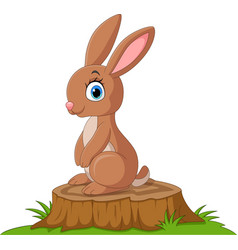 Cute Little Bunny Cartoon Sitting On Tree Stump