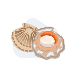 Raw Fresh Scallop Seafood Cartoon