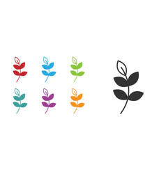 Black Willow Leaf Icon Isolated On White