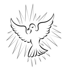 Pentecost Sunday Dove Logo