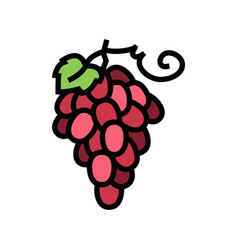 Red Grapes Bunch Color Icon