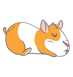 Sleeping Guinea Pig Cartoon