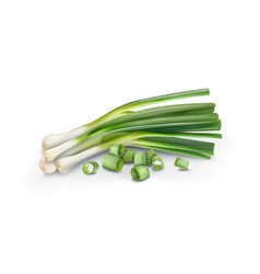 Green Fresh Onion For Salad