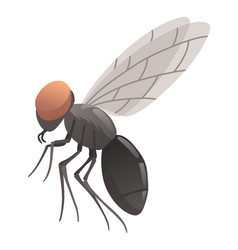 Housefly Insect Icon Wildlife Symbol In Cartoon