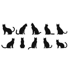 Cat Poses Black Silhouettes Sitting Cats Friends