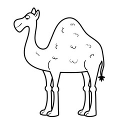 One-humped African Camel Dromedary Cartoon Page