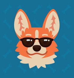 Corgi Dog Emotional Head In Sunglasses