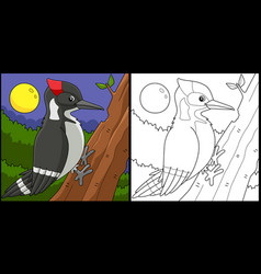 Woodpecker Bird Animal Coloring Page