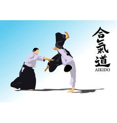 Oriental Combat Sports Aikido Colored 3d